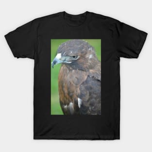 Gazing Out T-Shirt